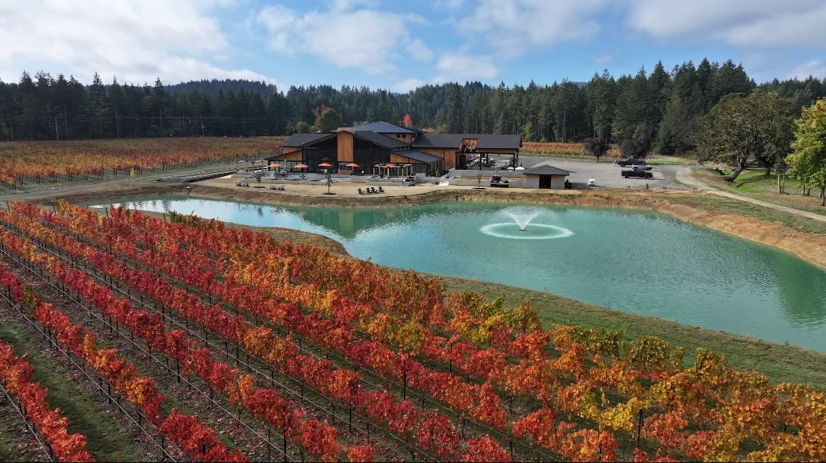 Apona Vineyards