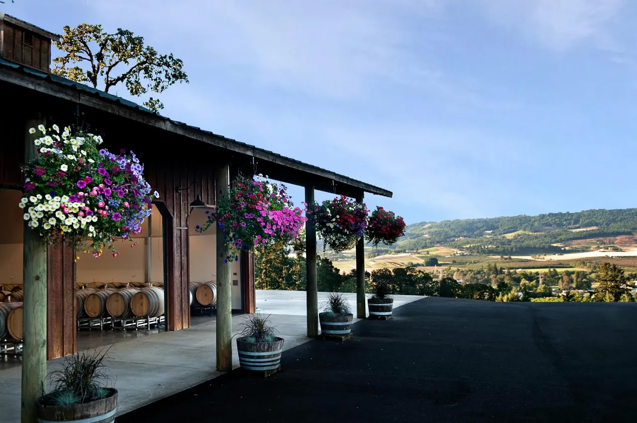 Anderson Family Vineyard