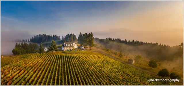 Bluebird Hill Cellars