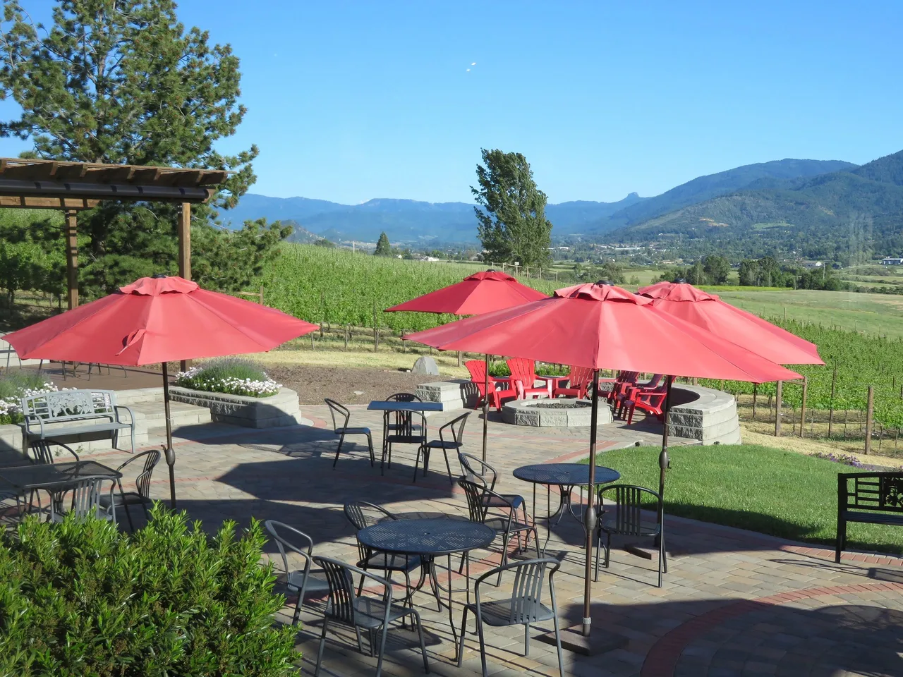 Dana Campbell Vineyards