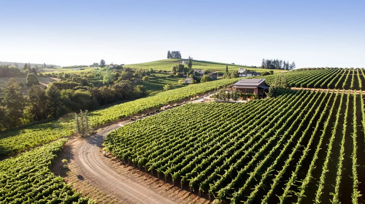 Dusky Goose Rambouillet Estate Tasting Room