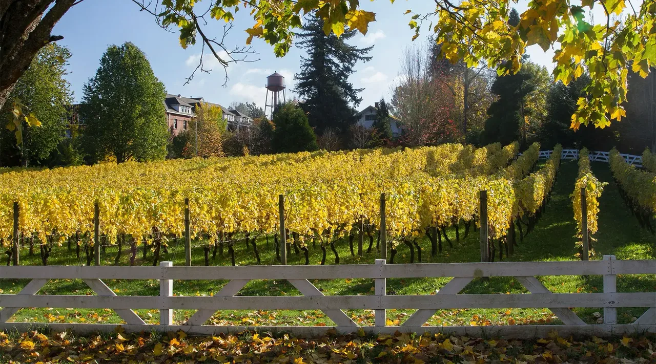 Edgefield Winery