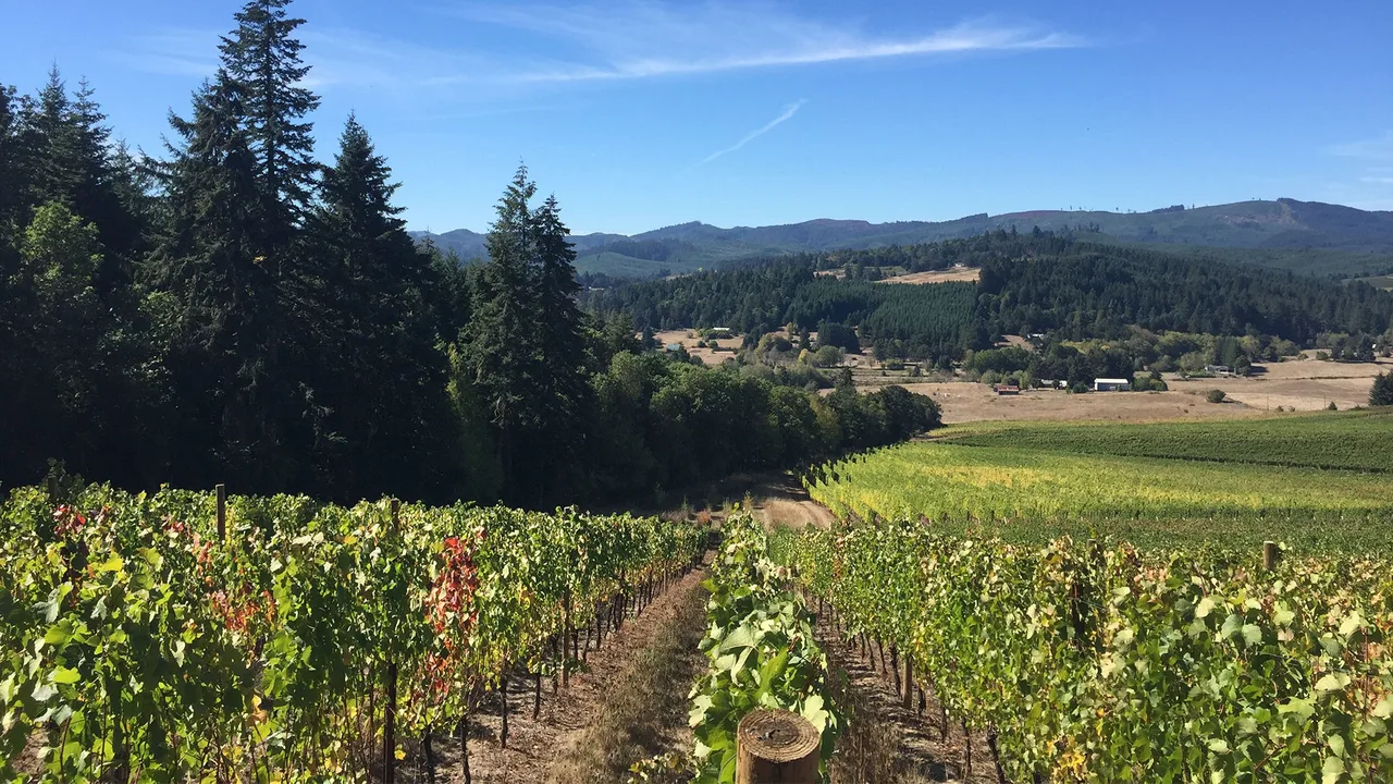 Sass Winery