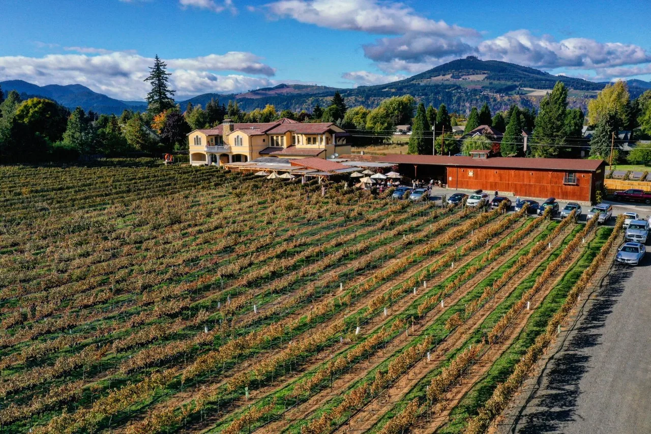 Marchesi Vineyards