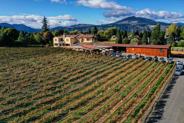 Marchesi Vineyards