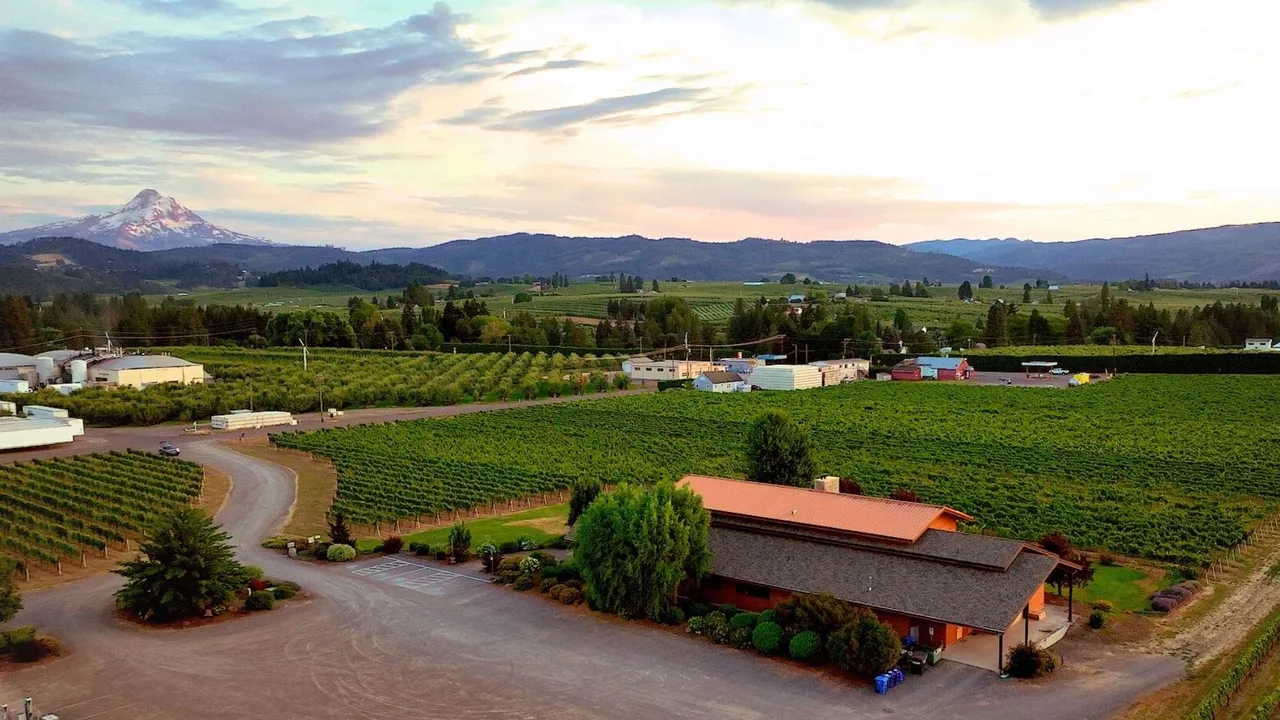 Mt. Hood Winery
