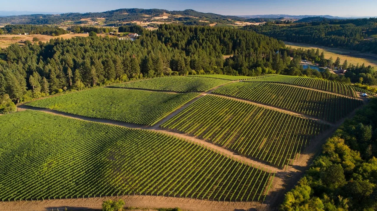 Patricia Green Cellars
