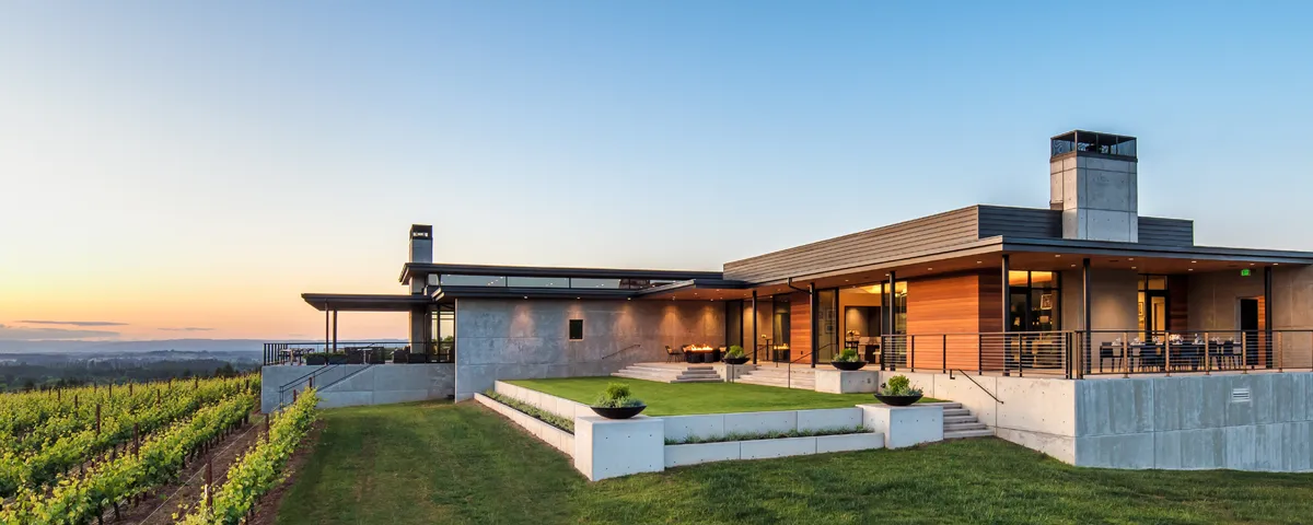 Ponzi Vineyards
