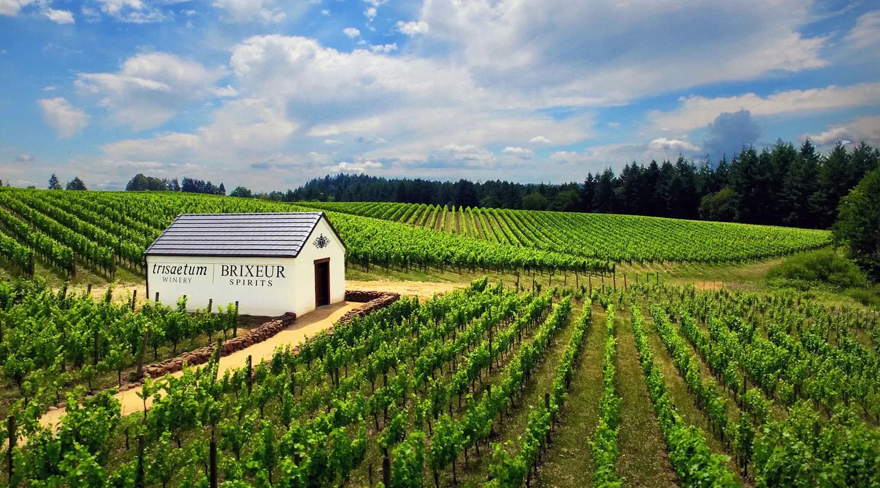 Trisaetum Winery & Art Gallery