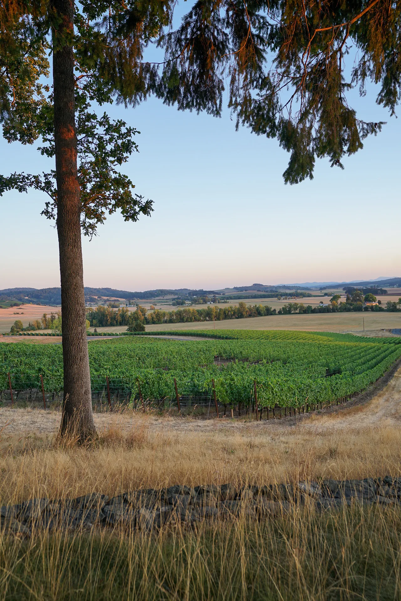 Union Wine Company
