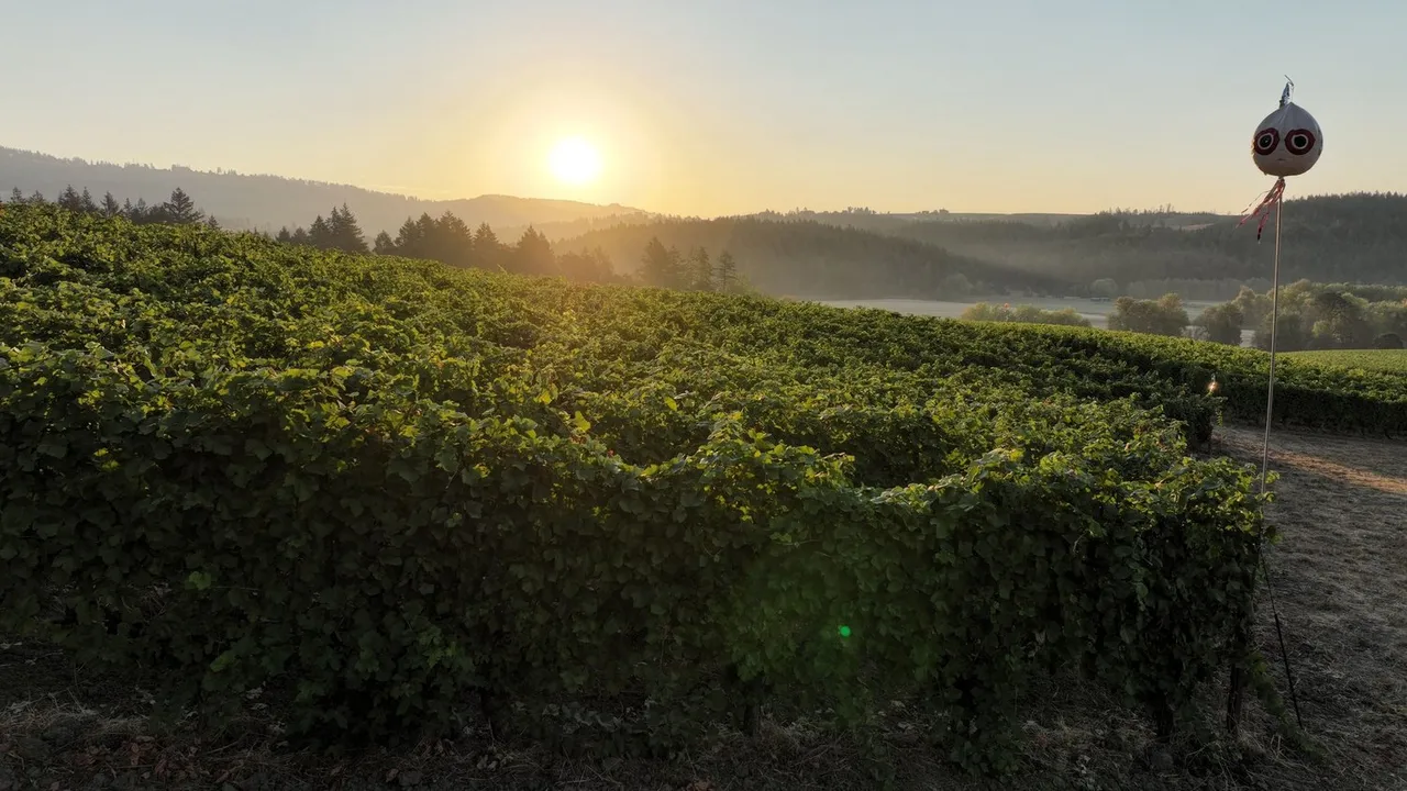 Beacon Hill Winery & Vineyard