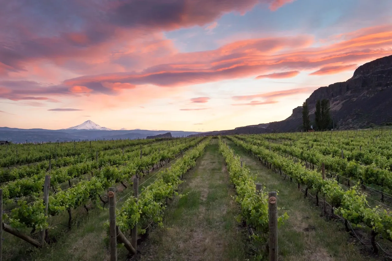 Cascade Cliffs Hood River Tasting Room