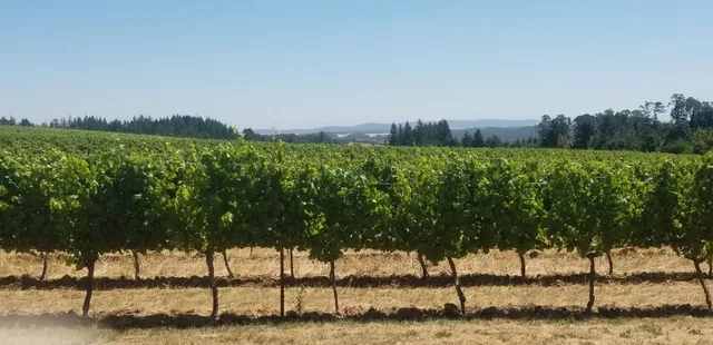 Wines of Oregon