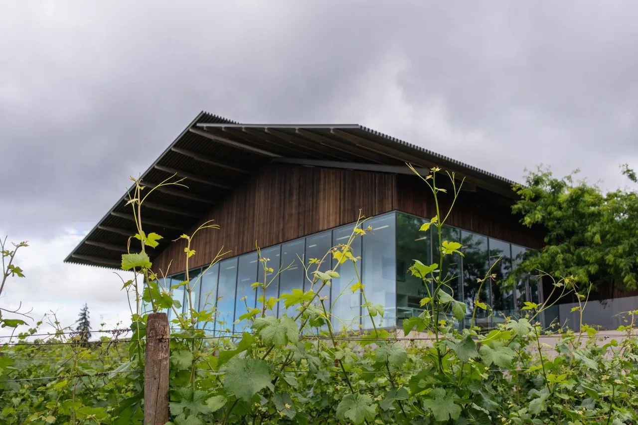 Furioso Vineyards