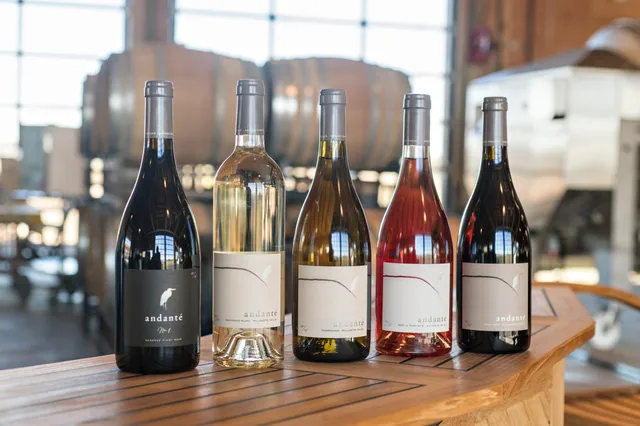 Andante Vineyard