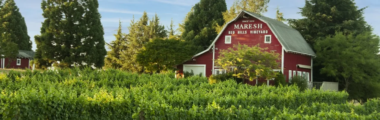 Maresh Vineyard and Winery