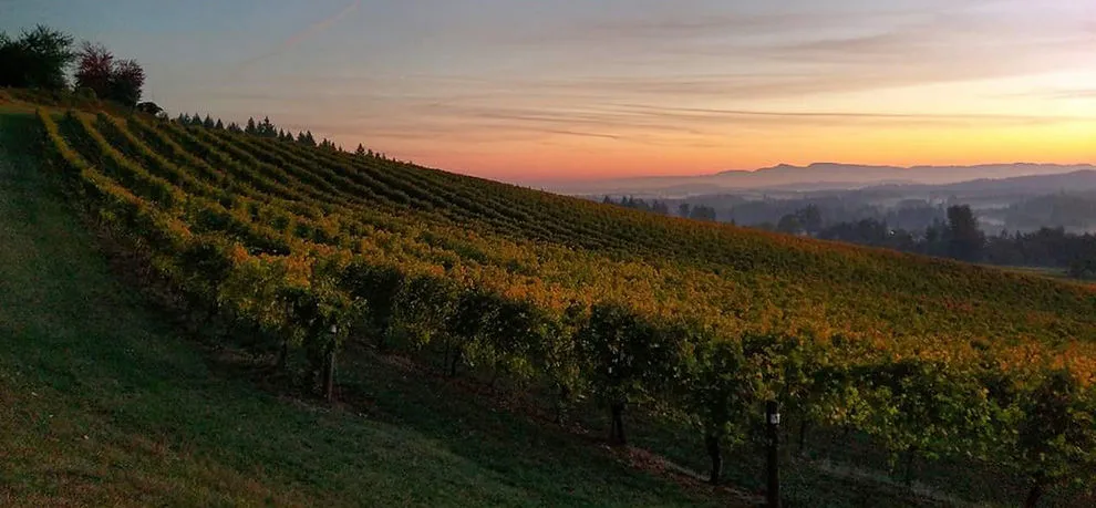 Sarver Winery