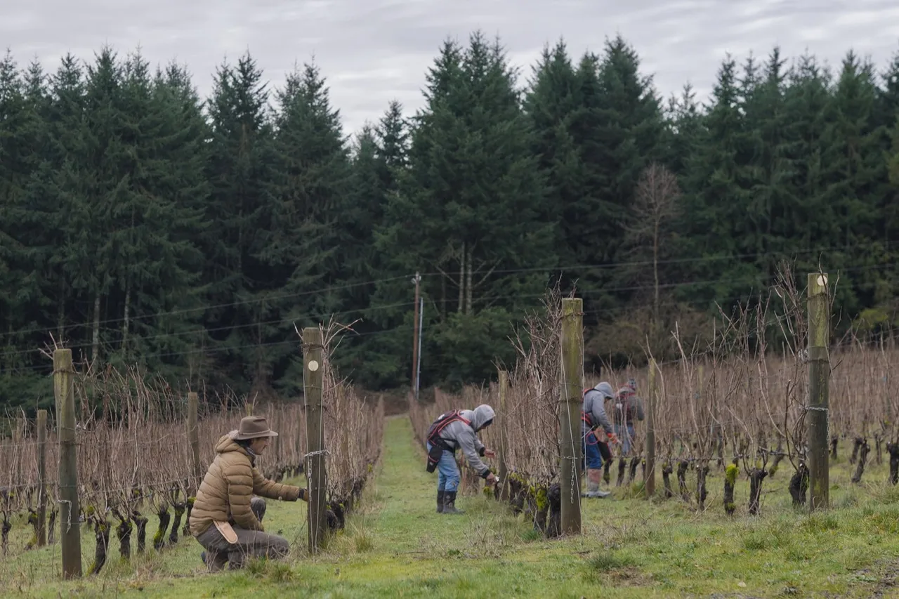 Martin Woods Winery