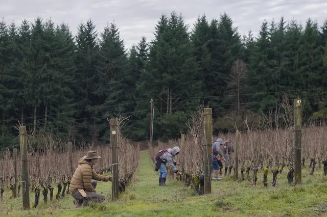 Martin Woods Winery