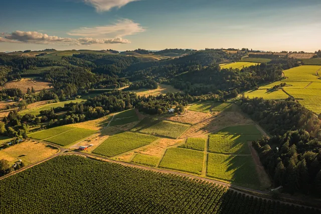Bledsoe Family Winery – Bend