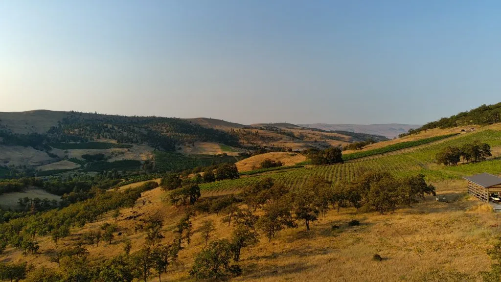 Oak Flat Vineyards Tasting Room & Bistro
