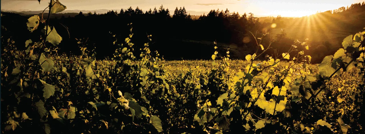 A to Z Wineworks