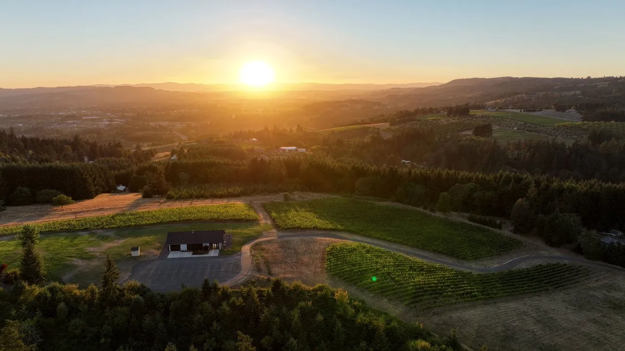 Avidity Wines